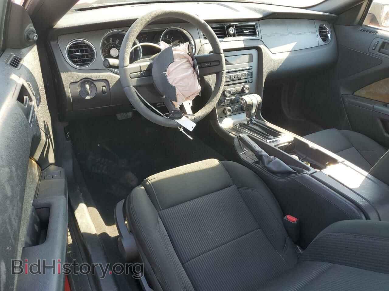 2010 FORD ALL Models - VIN: 1ZVBP8AN4A5120107 - Фото 8