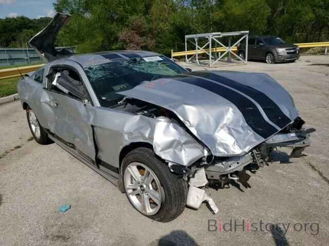 Photo 1ZVBP8AM8E5208736 - FORD MUSTANG 2014