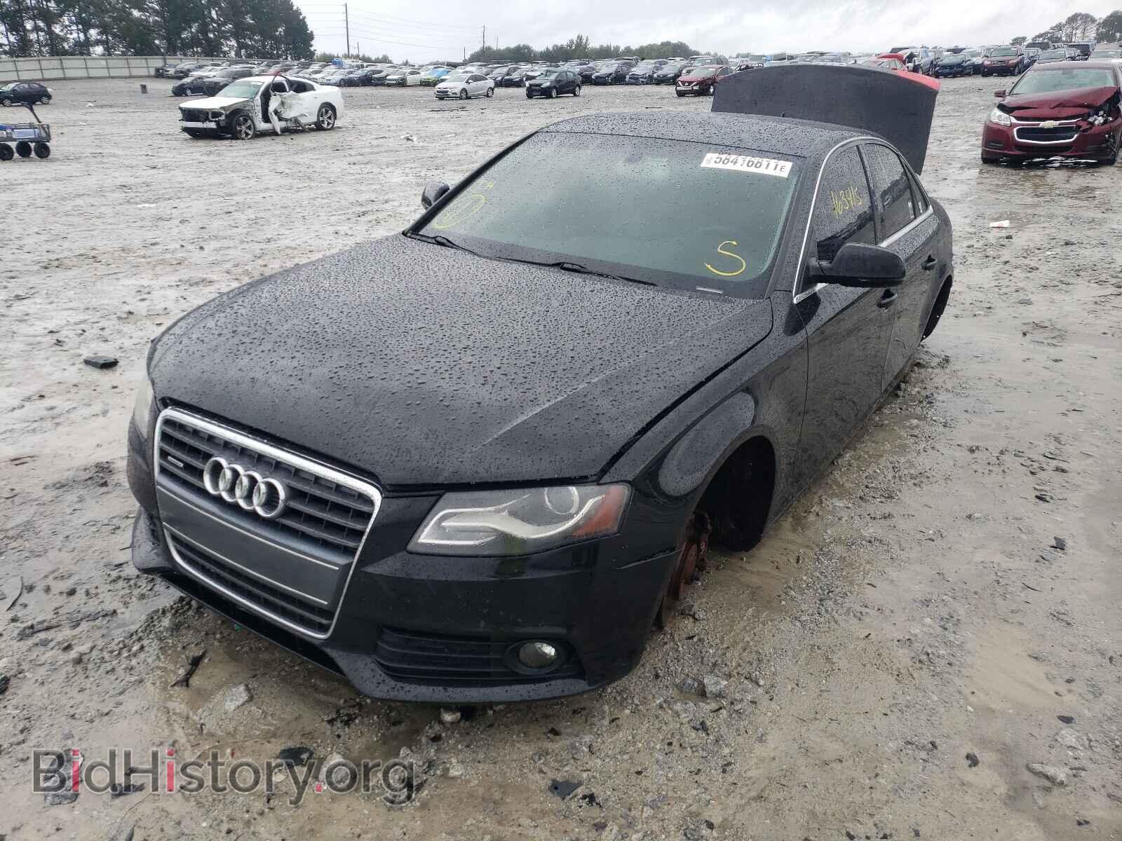 2011 AUDI A4 - VIN: WAUFFAFL1BN024732 - Фото 2