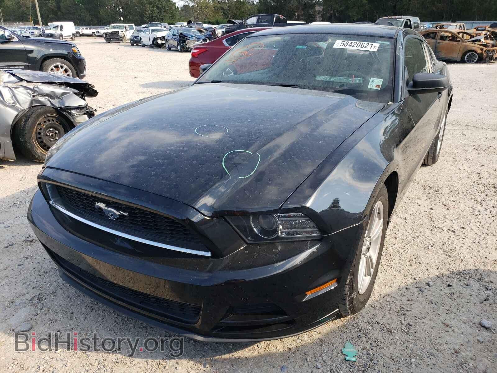2014 FORD MUSTANG - VIN: 1ZVBP8AM0E5302576 - Фото 2