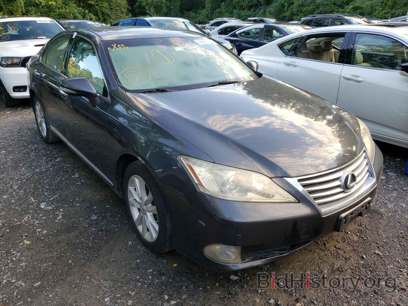 Фотография JTHBK1EG2A2364925 - LEXUS ES350 2010