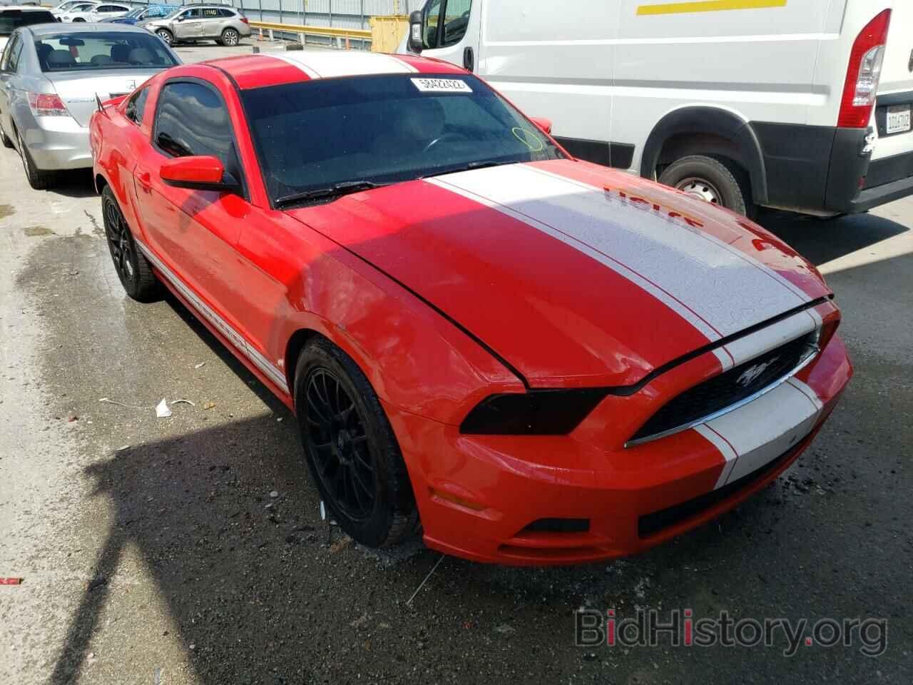 Фотография 1ZVBP8AM4D5204293 - FORD MUSTANG 2013