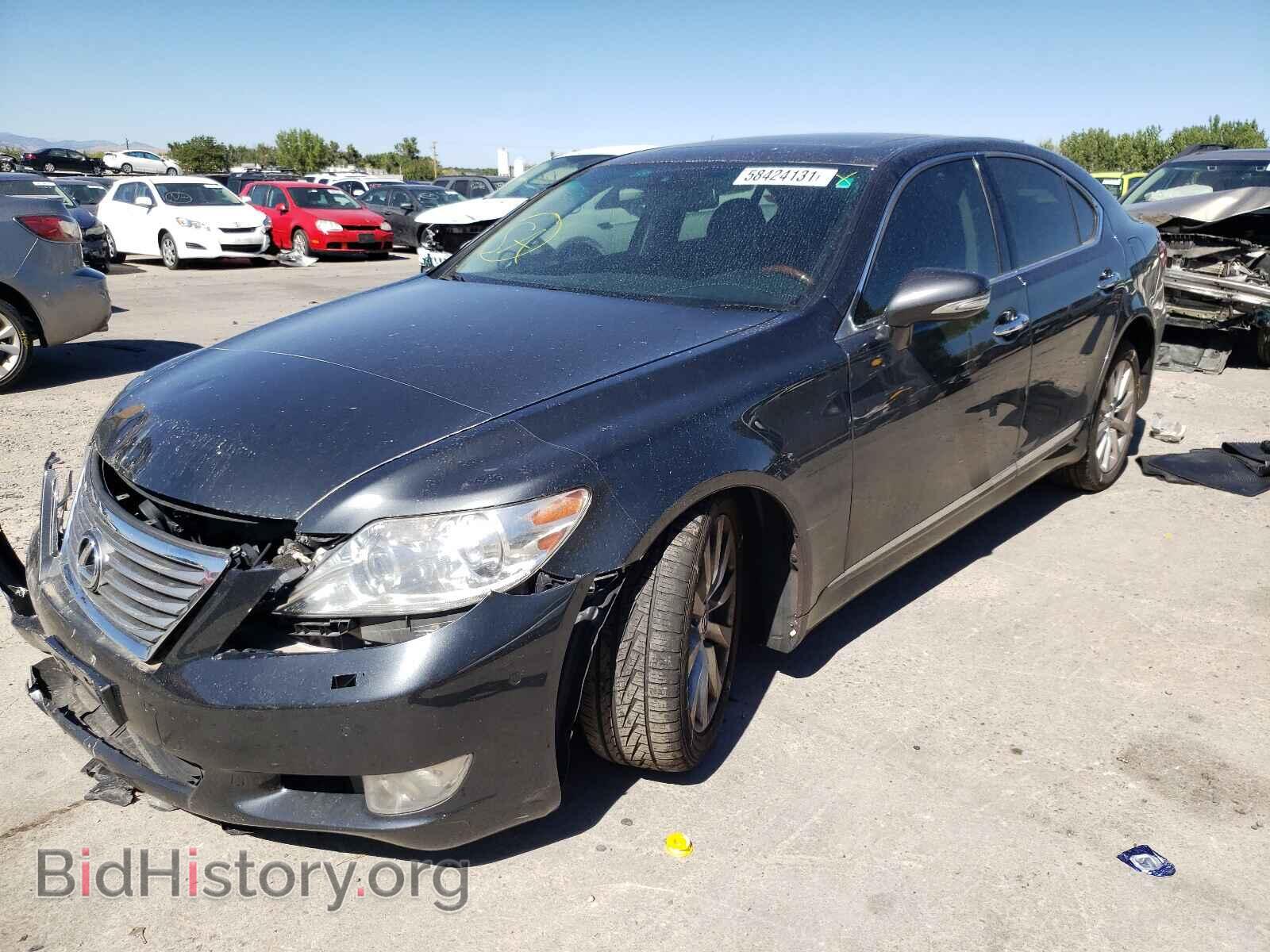 2010 LEXUS LS460 - VIN: JTHCL5EF3A5005050 - Фото 2