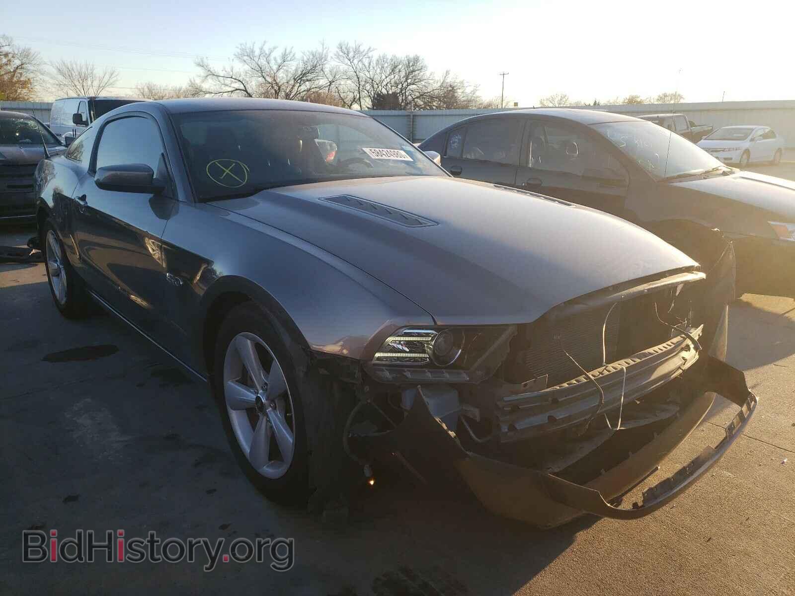 Photo 1ZVBP8CF9E5215144 - FORD MUSTANG 2014