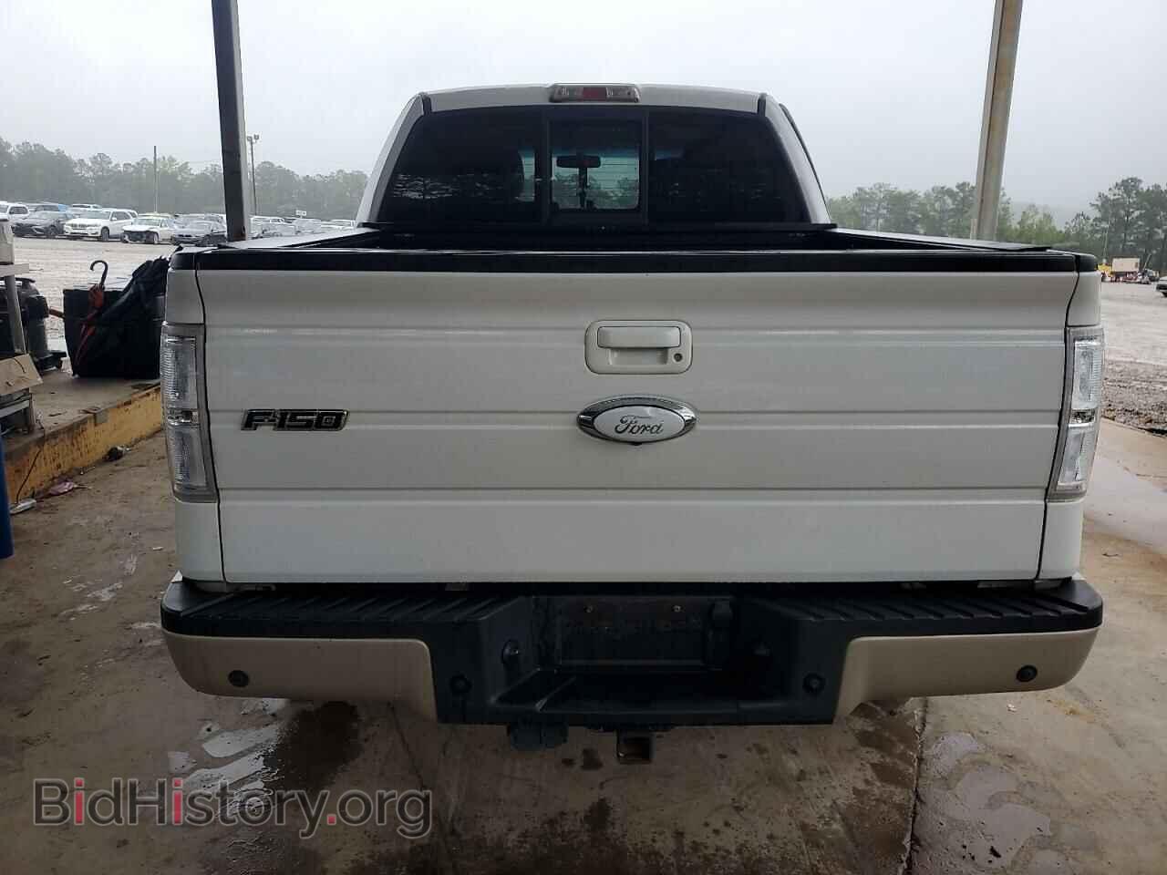 2010 FORD F-150 - VIN: 1FTFW1CV9AFD49341 - Фото 6