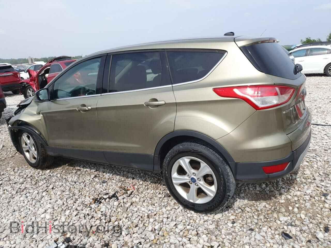 2013 FORD ESCAPE - VIN: 1FMCU0G95DUA54779 - Фото 2