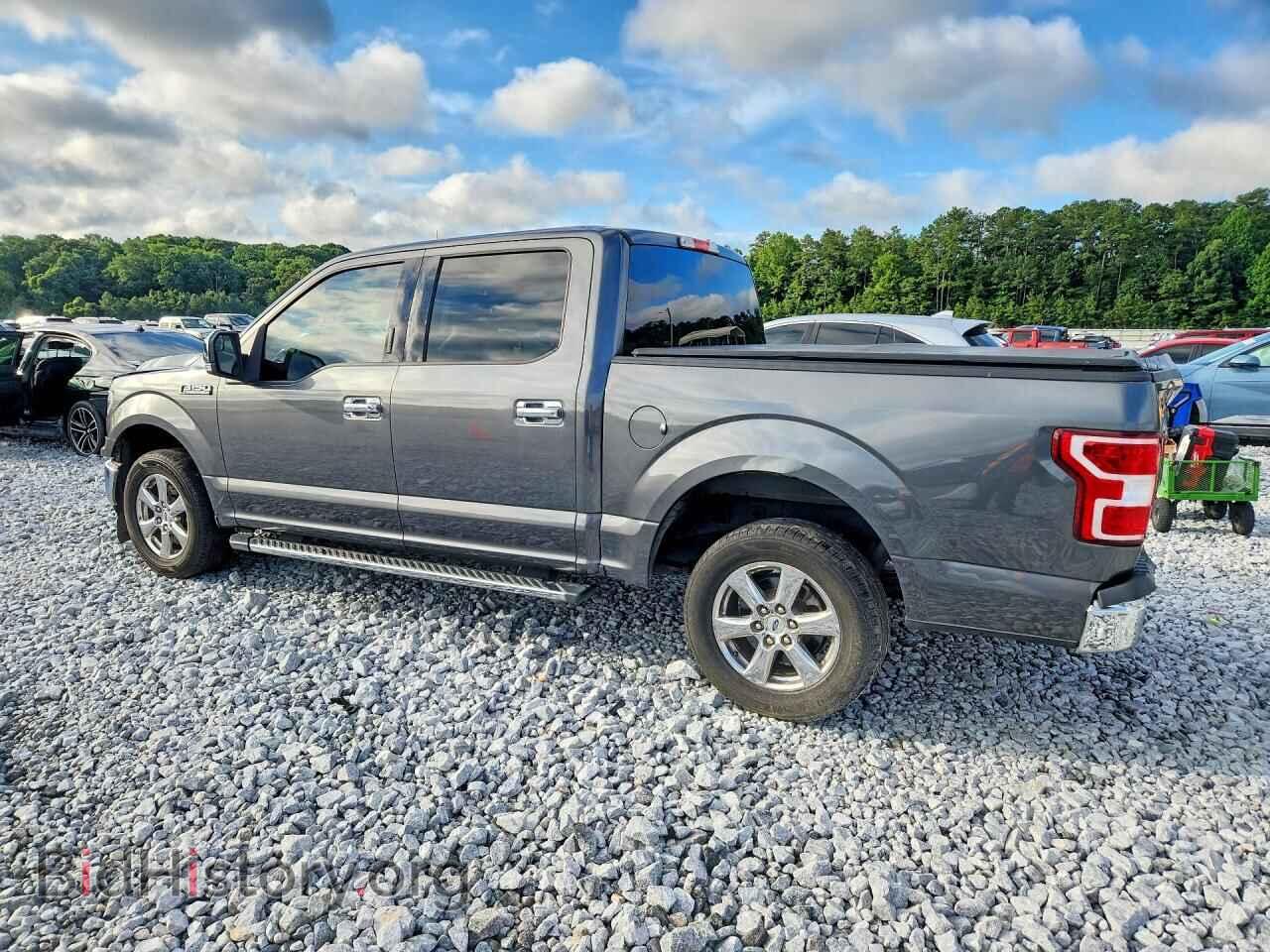 2019 FORD F150 - VIN: 1FTEW1CP2KFA28501 - Фото 2
