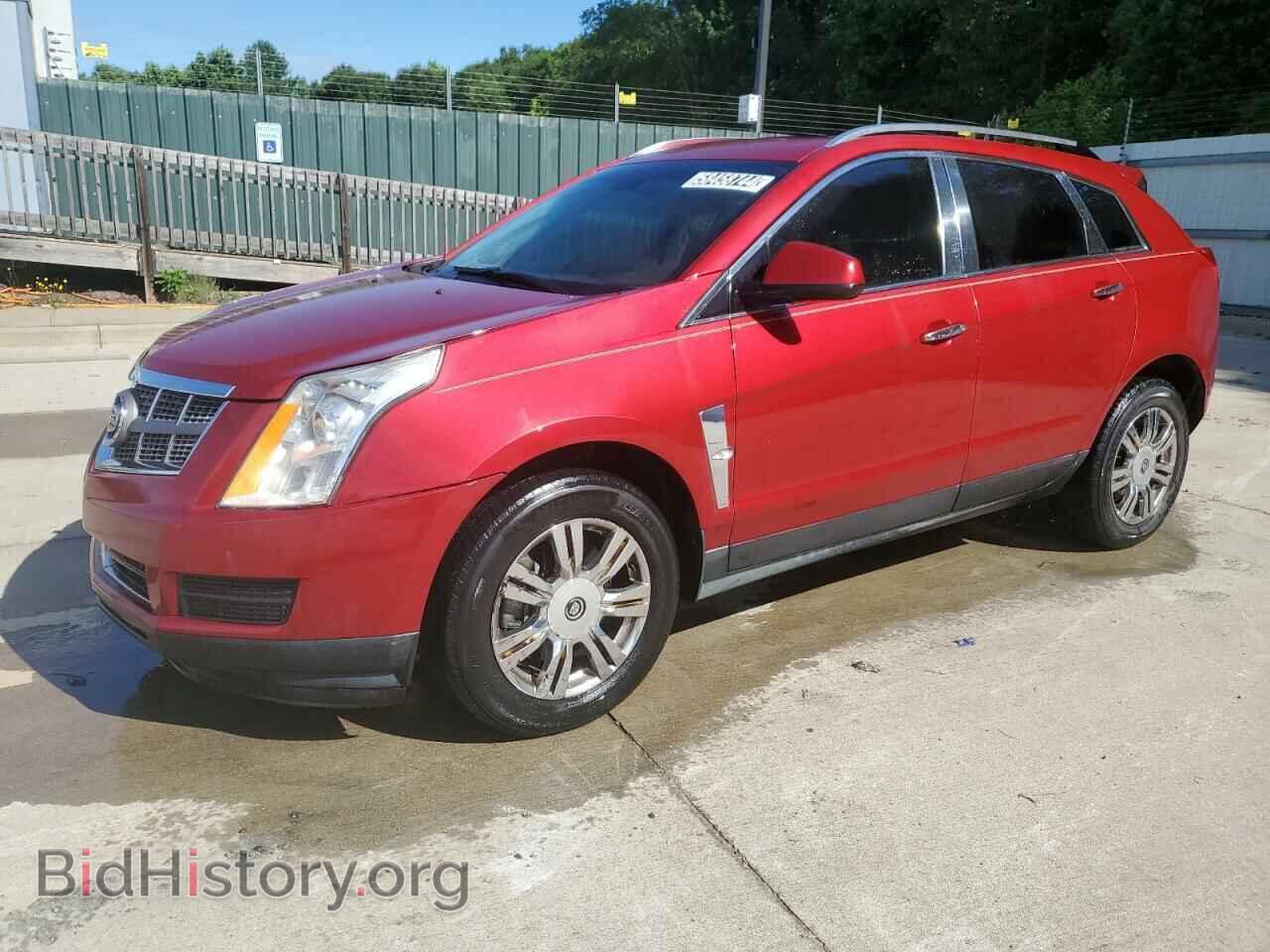 Photo 3GYFNAEY9AS545196 - CADILLAC SRX 2010