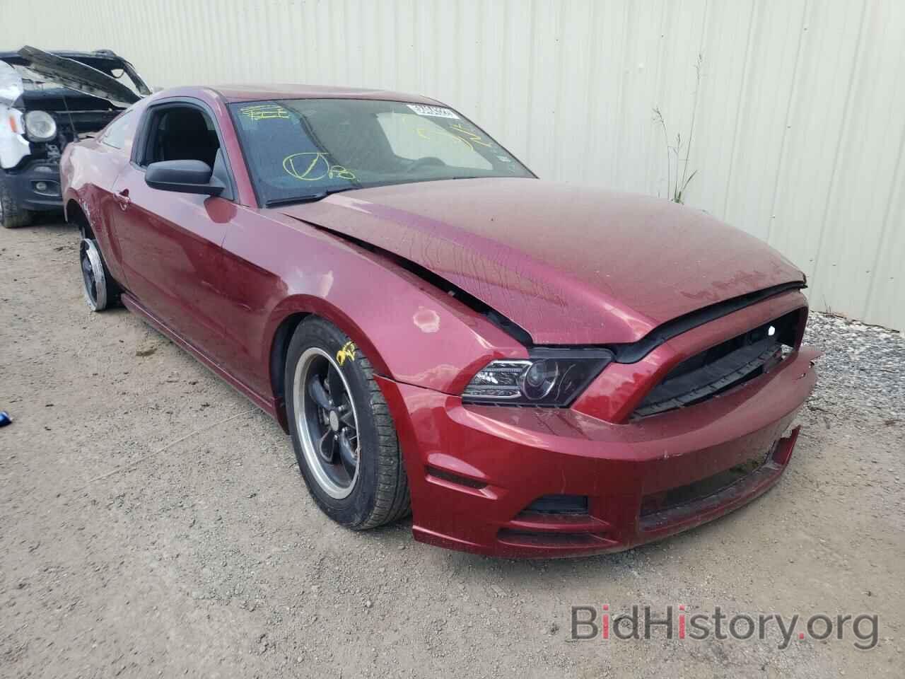 Photo 1ZVBP8AM0E5284032 - FORD MUSTANG 2014