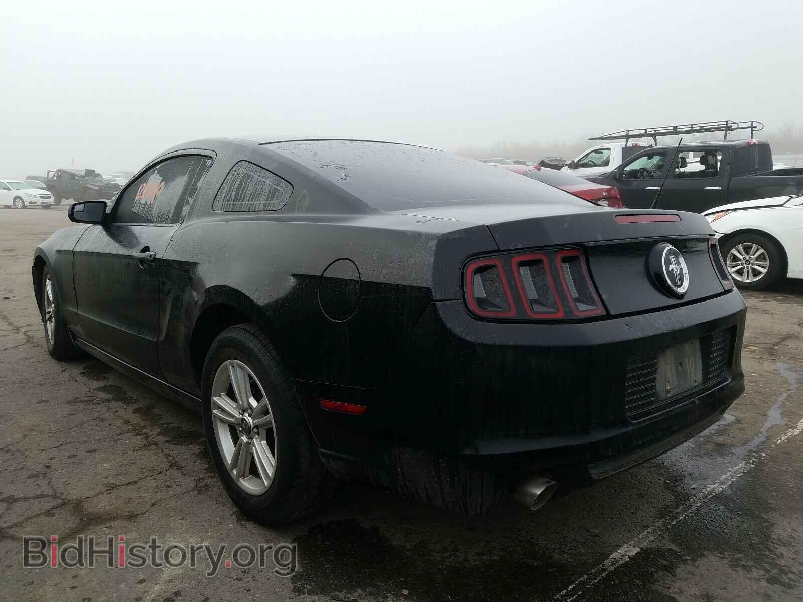 2014 FORD MUSTANG - VIN: 1ZVBP8AM1E5259561 - Фото 3