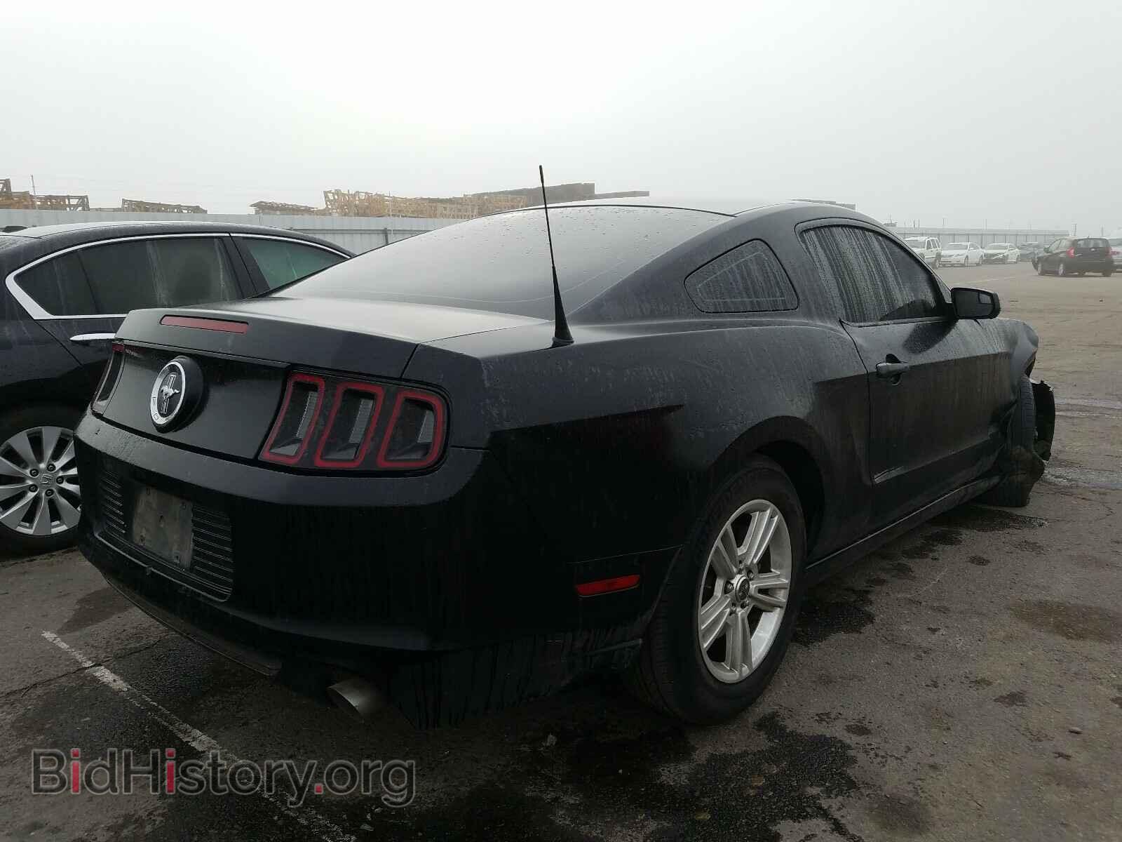 2014 FORD MUSTANG - VIN: 1ZVBP8AM1E5259561 - Фото 4