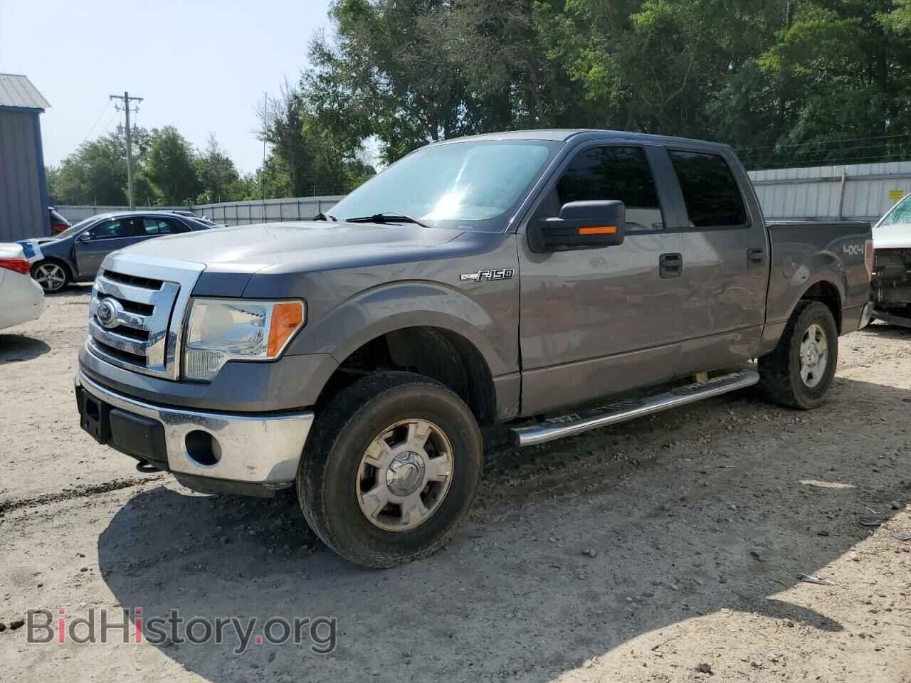 Фотография 1FTFW1EV8AFC14669 - FORD F-150 2010