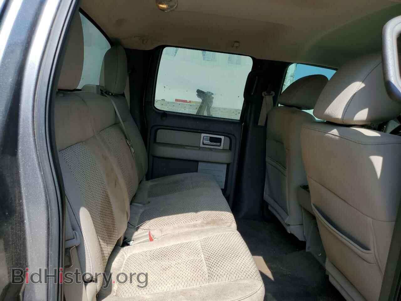 2010 FORD F-150 - VIN: 1FTFW1EV8AFC14669 - Фото 10