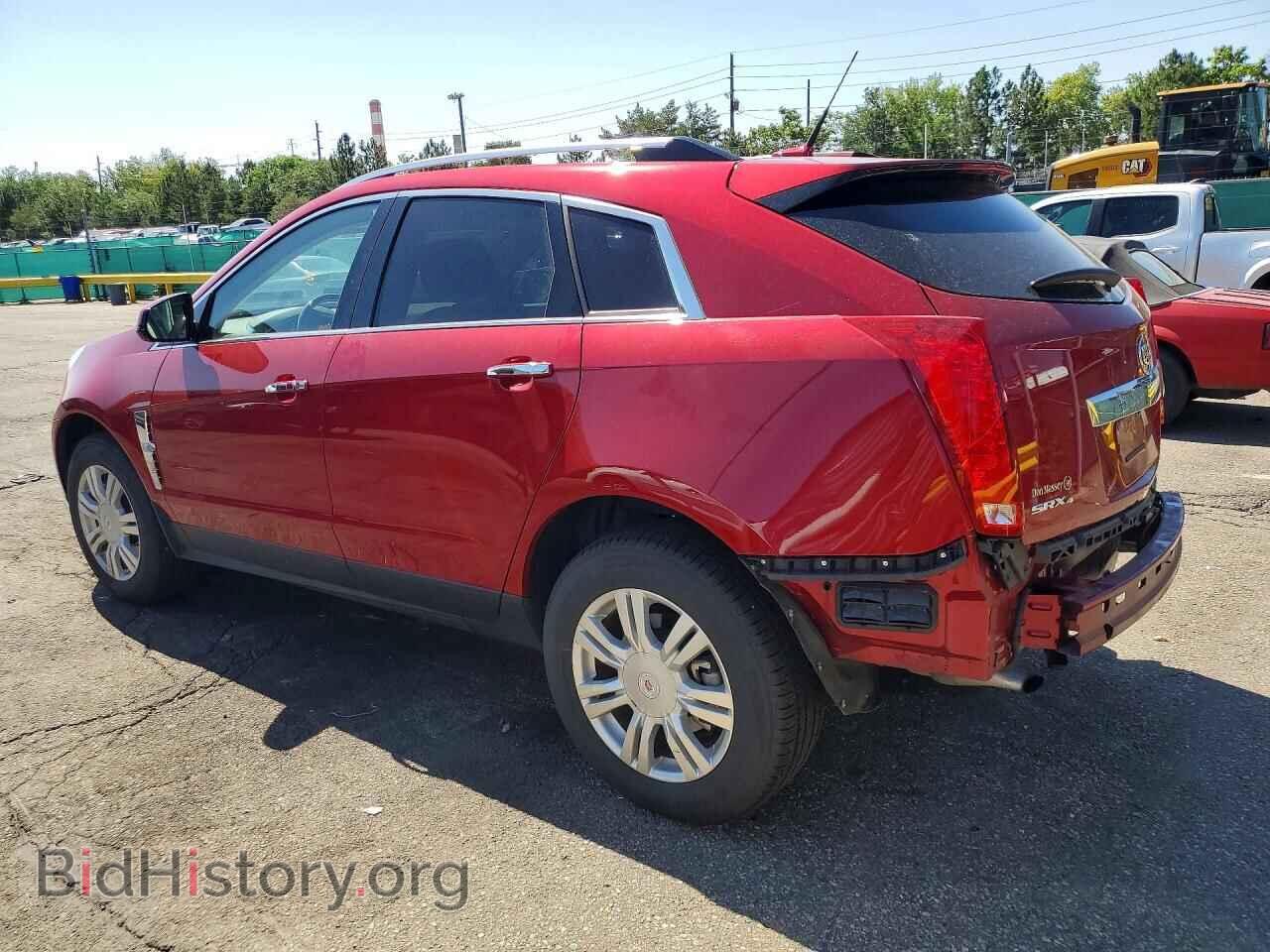 2011 CADILLAC SRX - VIN: 3GYFNDEY9BS518048 - Фото 2