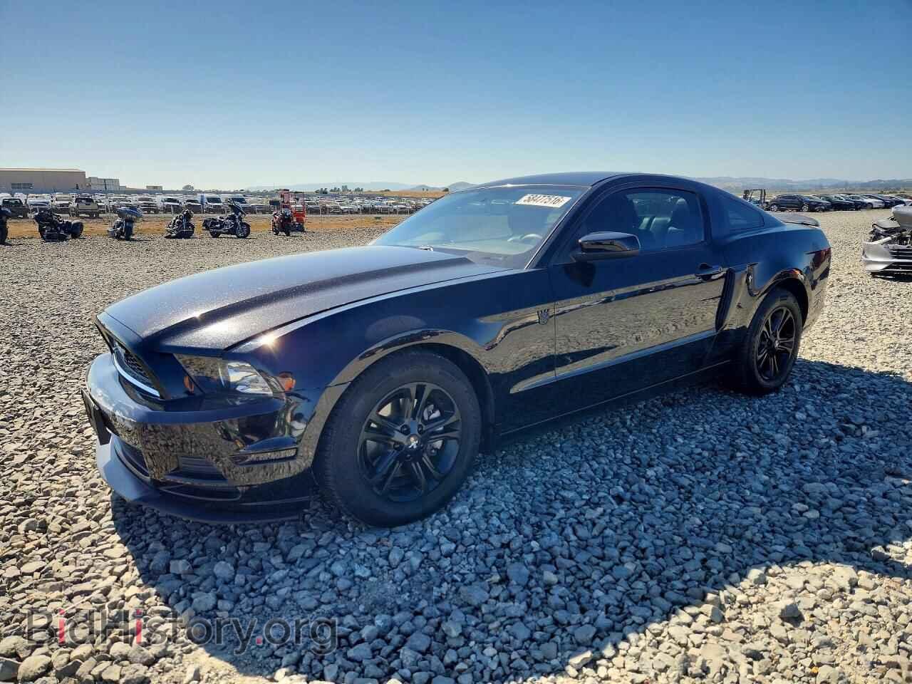 Фотография 1ZVBP8AM8E5296820 - FORD MUSTANG 2014