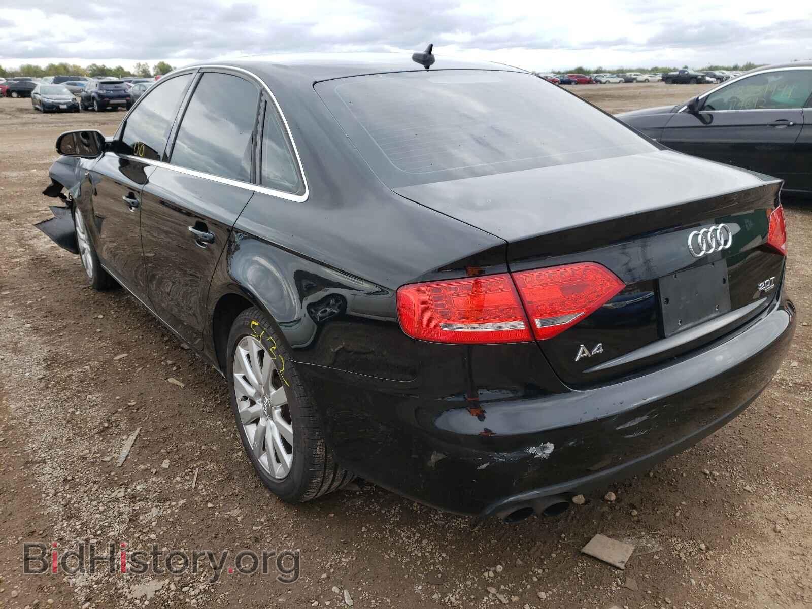 2010 AUDI A4 - VIN: WAUFFAFL4AN010645 - Фото 3