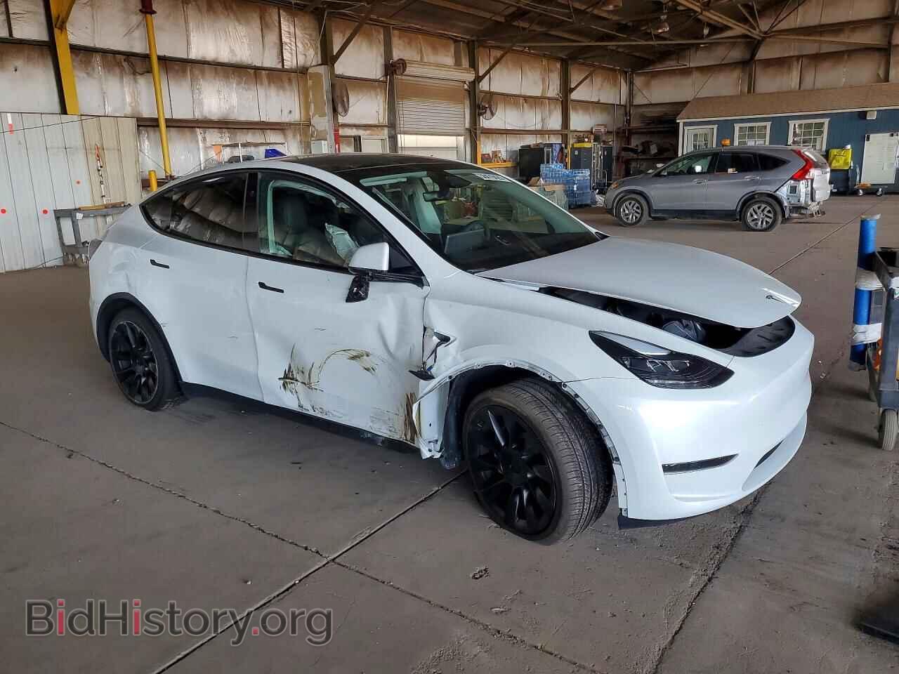 2024 TESLA MODEL Y - VIN: 7SAYGDED1RF093999 - Photo 4