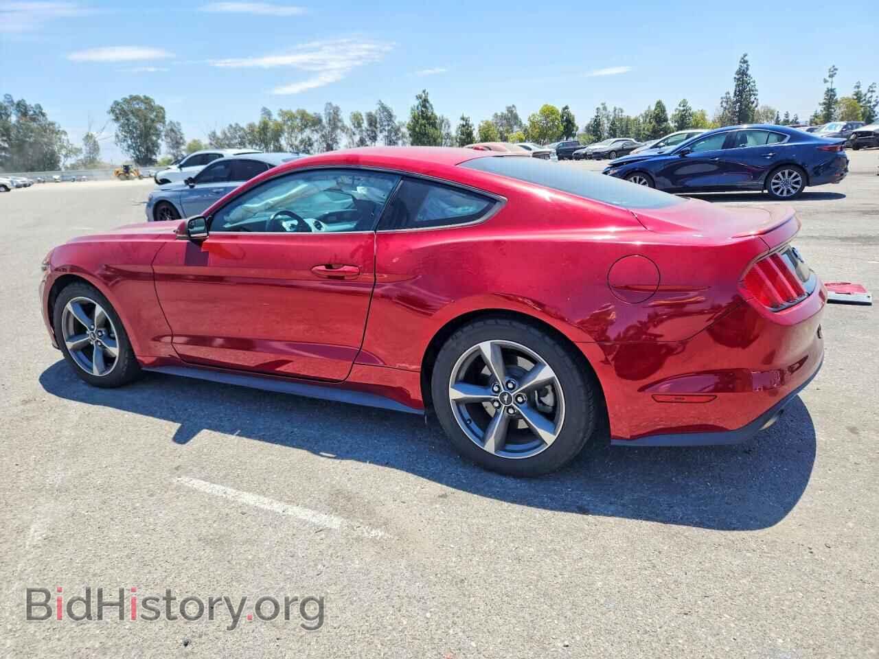 2017 FORD MUSTANG - VIN: 1FA6P8TH2H5271071 - Photo 2