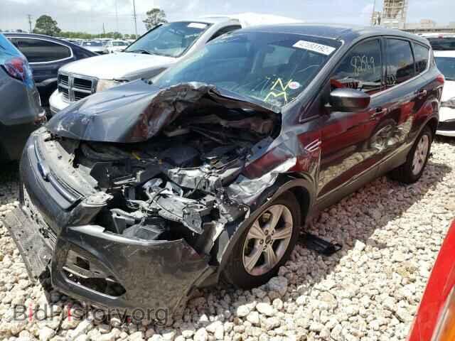 2015 FORD ESCAPE - VIN: 1FMCU0GX1FUC32169 - Фото 2