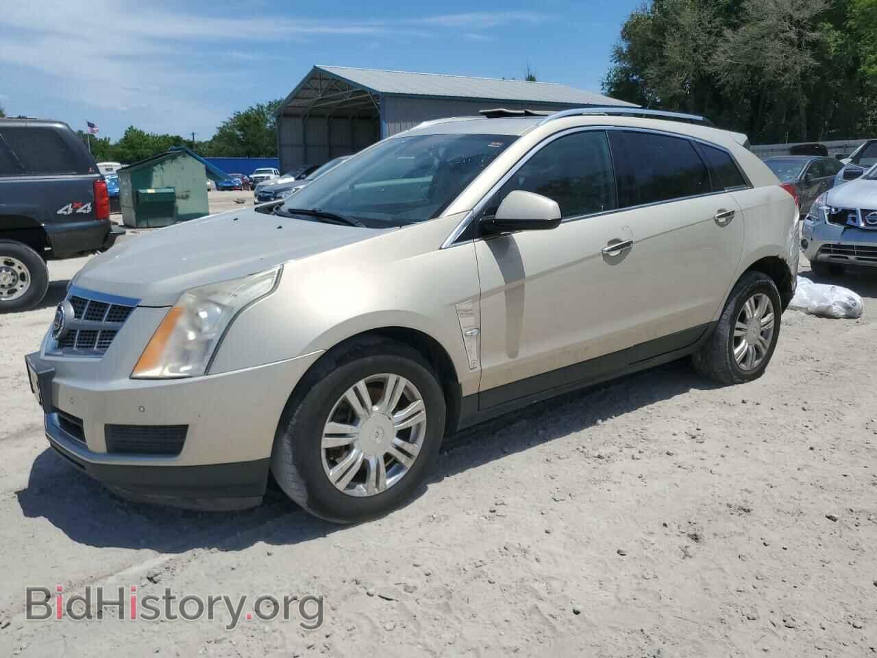 Photo 3GYFNDEY8AS545482 - CADILLAC SRX 2010