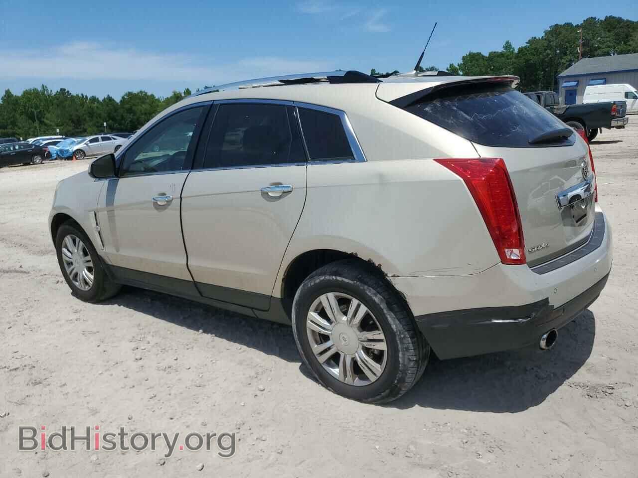 2010 CADILLAC SRX - VIN: 3GYFNDEY8AS545482 - Фото 2