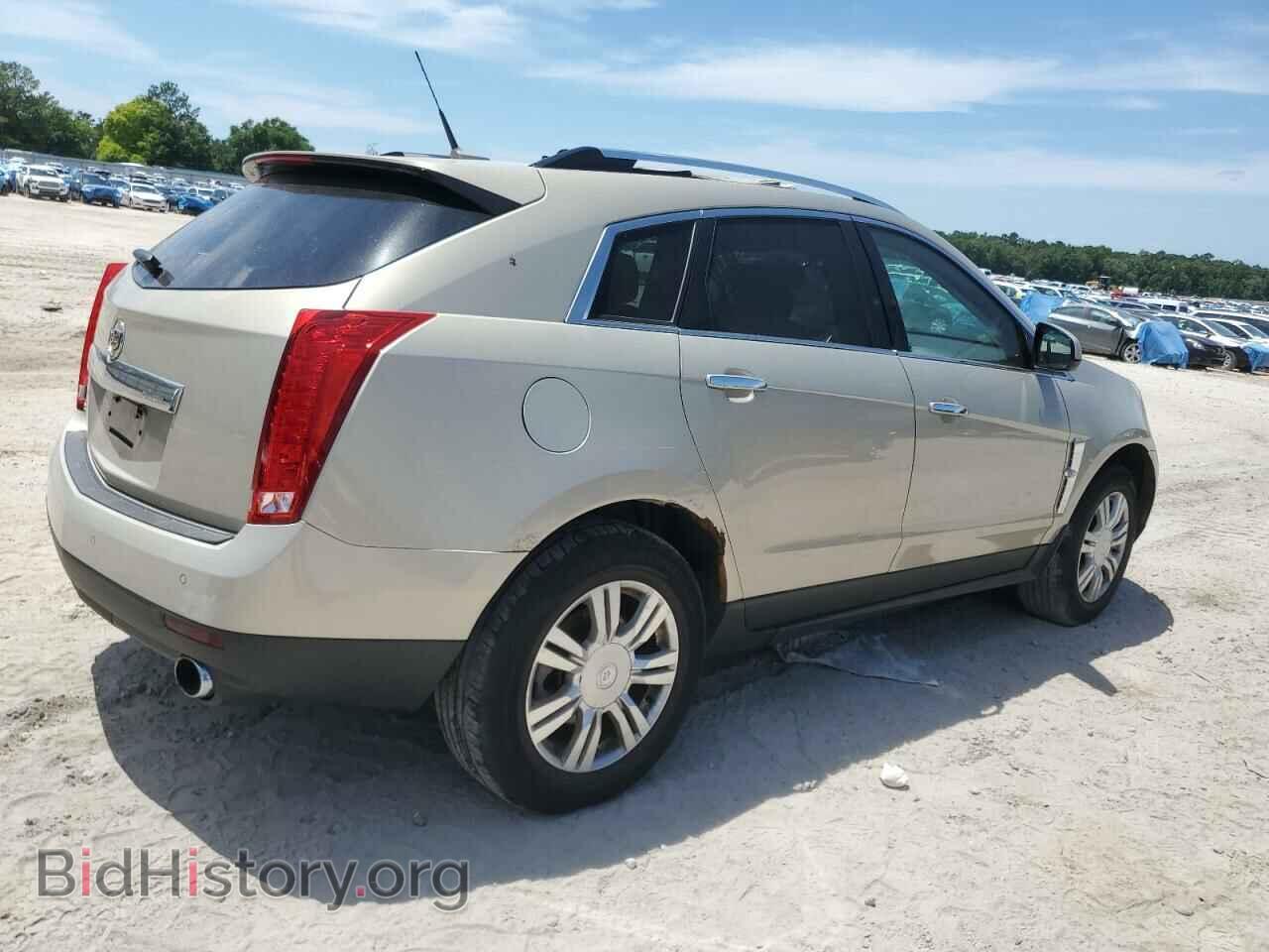2010 CADILLAC SRX - VIN: 3GYFNDEY8AS545482 - Фото 3