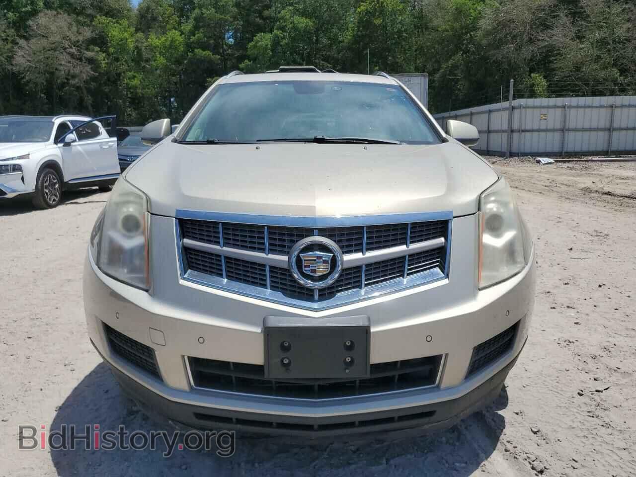 2010 CADILLAC SRX - VIN: 3GYFNDEY8AS545482 - Фото 5