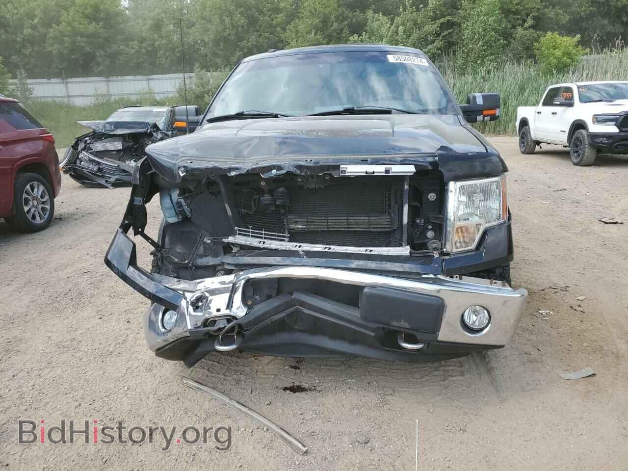 2013 FORD F-150 - VIN: 1FTFX1EF2DFD80356 - Photo 5
