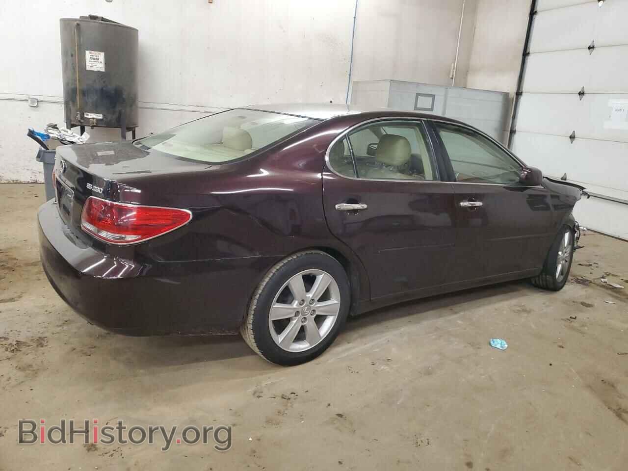 2005 LEXUS ES330 - VIN: JTHBA30G355088555 - Фото 3