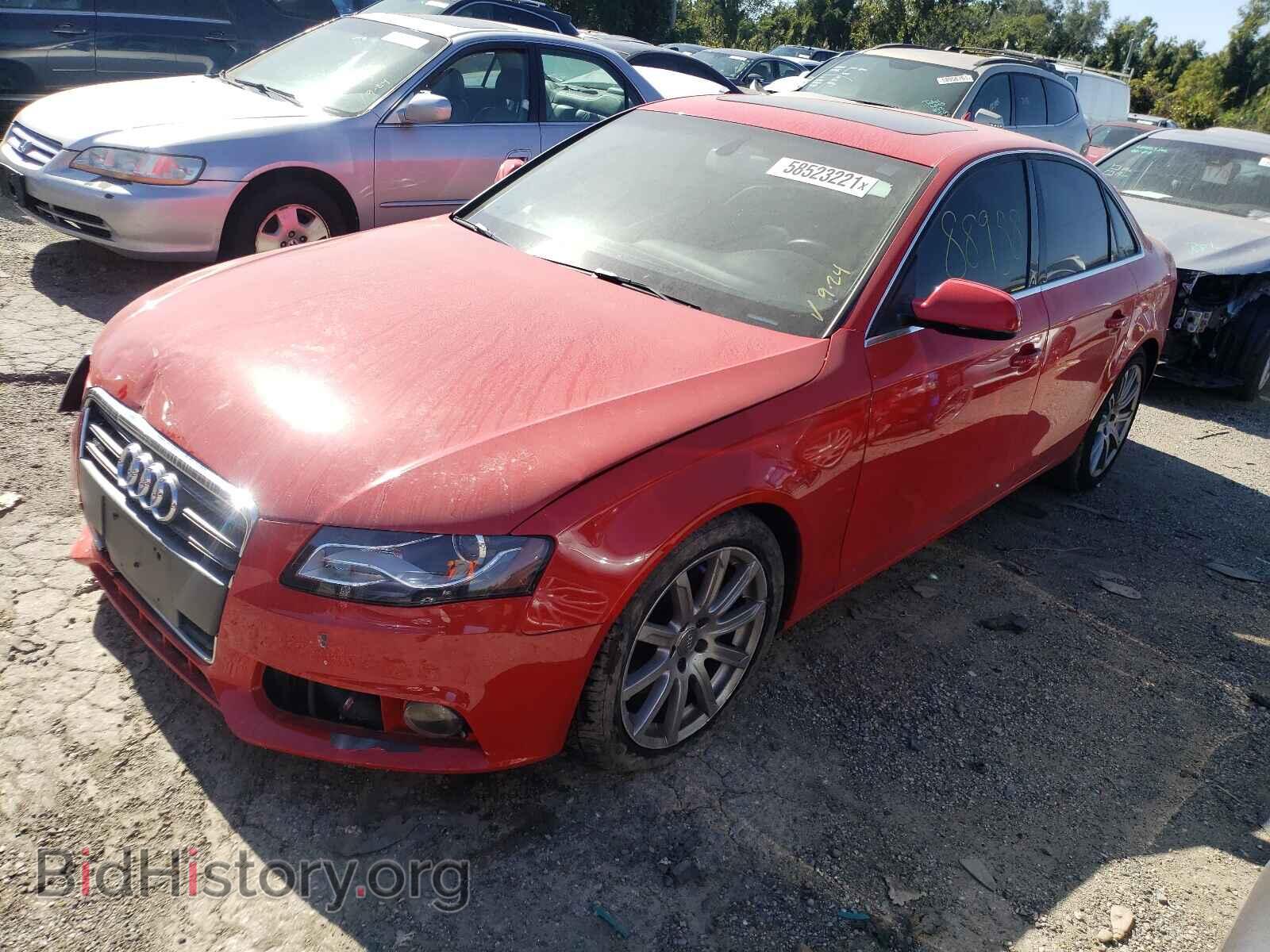2010 AUDI A4 - VIN: WAUFFAFL7AN042277 - Фото 2