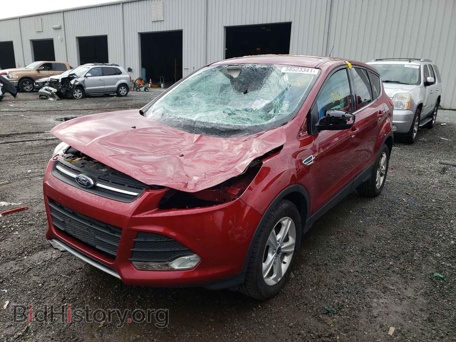 2014 FORD ESCAPE - VIN: 1FMCU0GX4EUD65569 - Photo 2