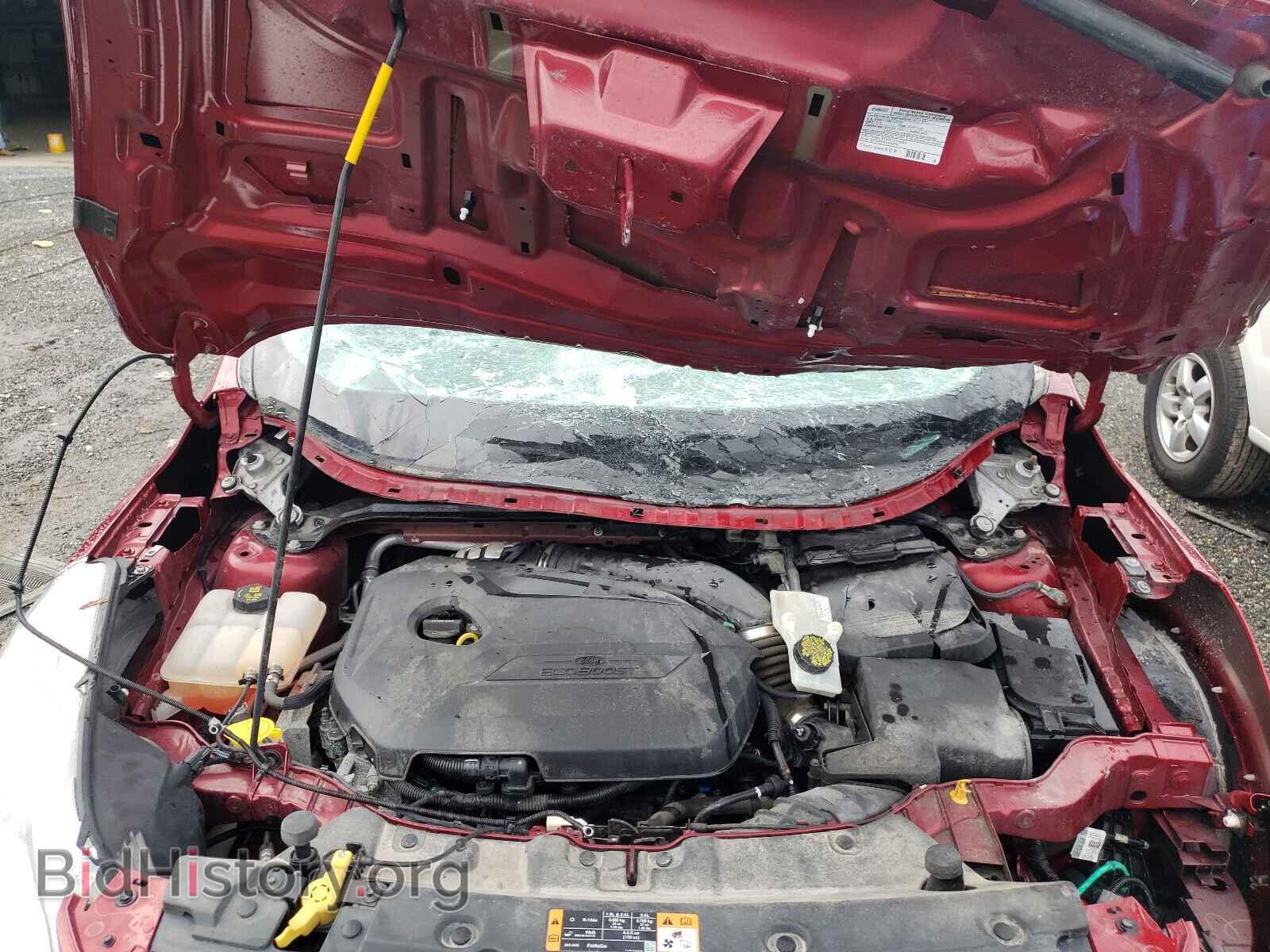 2014 FORD ESCAPE - VIN: 1FMCU0GX4EUD65569 - Photo 7