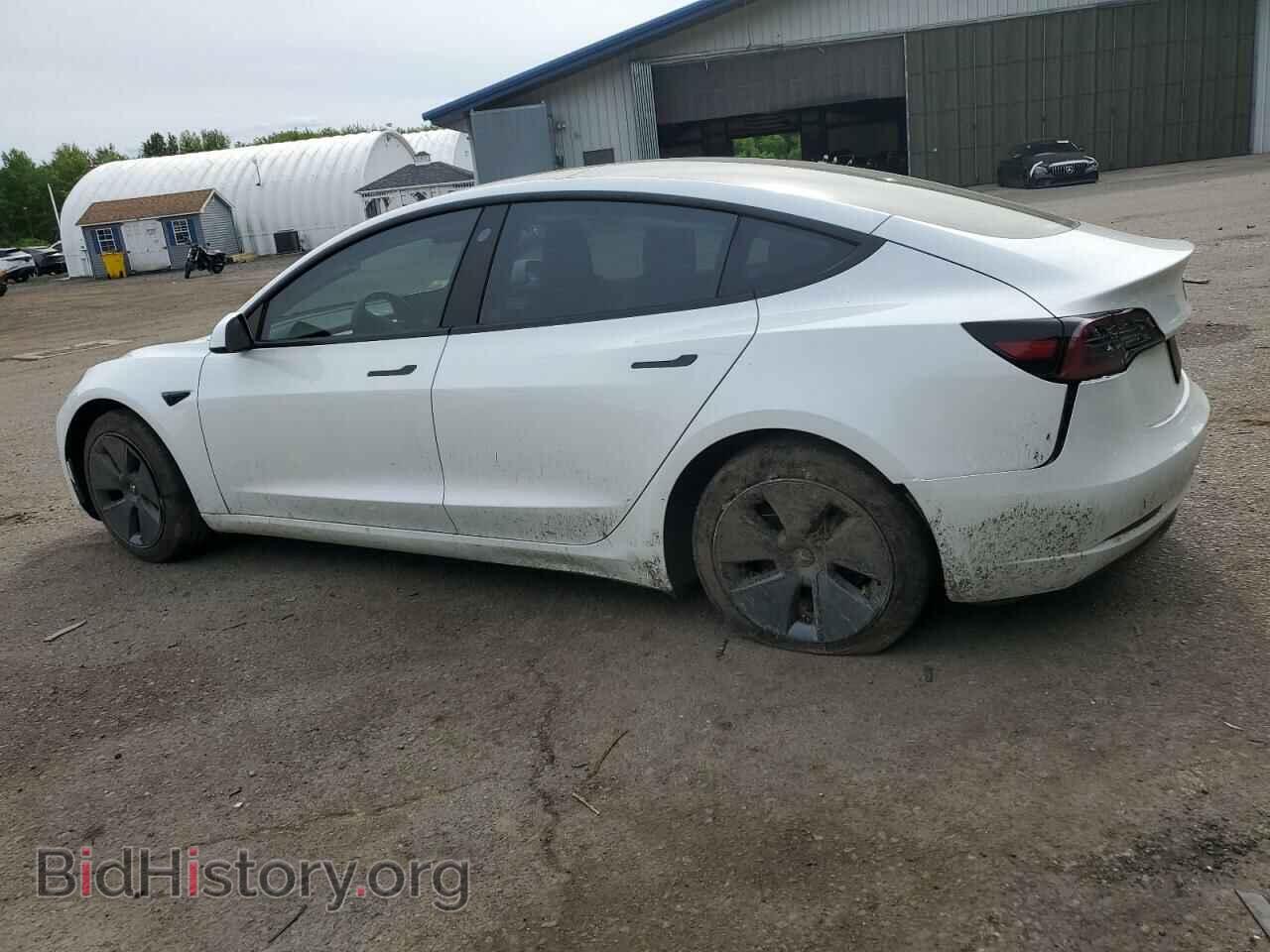 2023 TESLA MODEL 3 - VIN: 5YJ3E1EA8PF563010 - Фото 2
