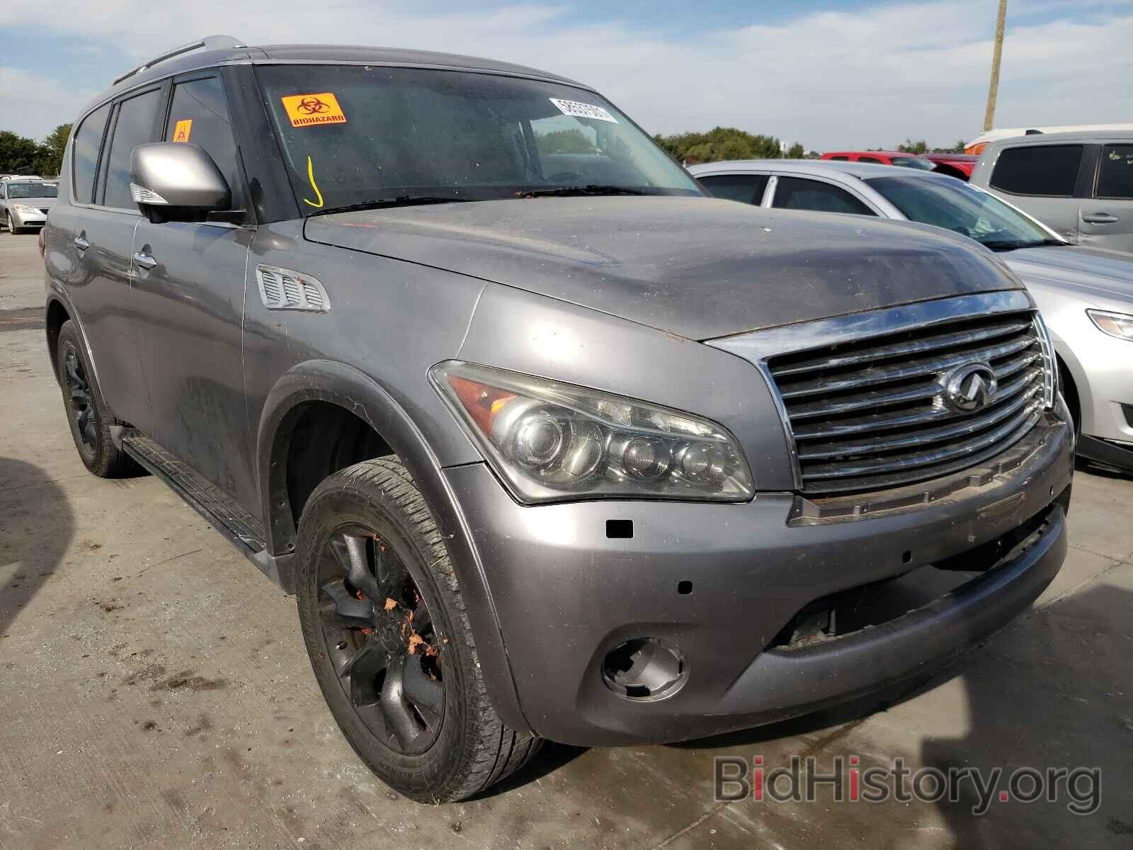 Photo JN8AZ2NF3B9500255 - INFINITI QX56 2011