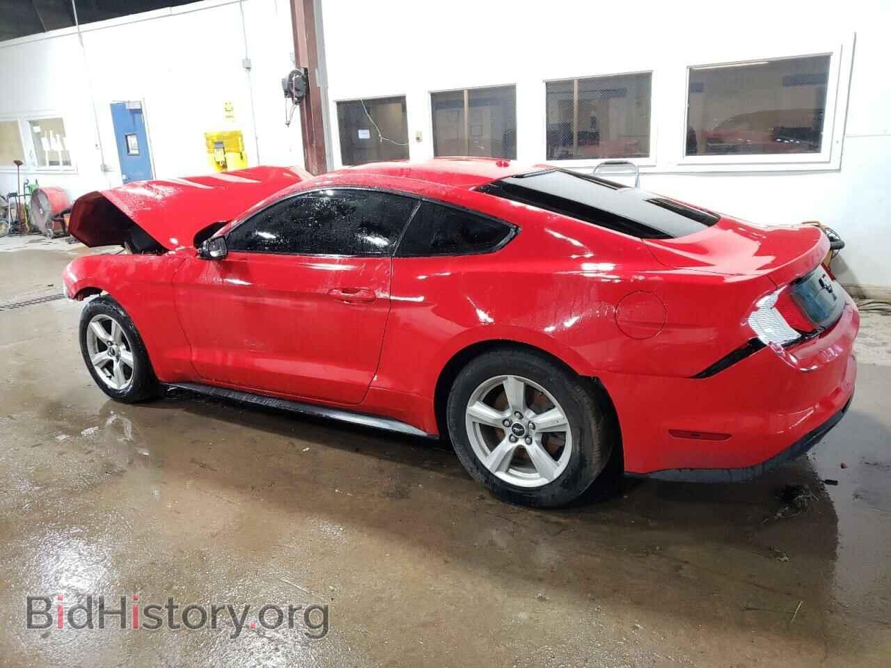 2019 FORD ALL Models - VIN: 1FA6P8TH1K5134873 - Фото 2
