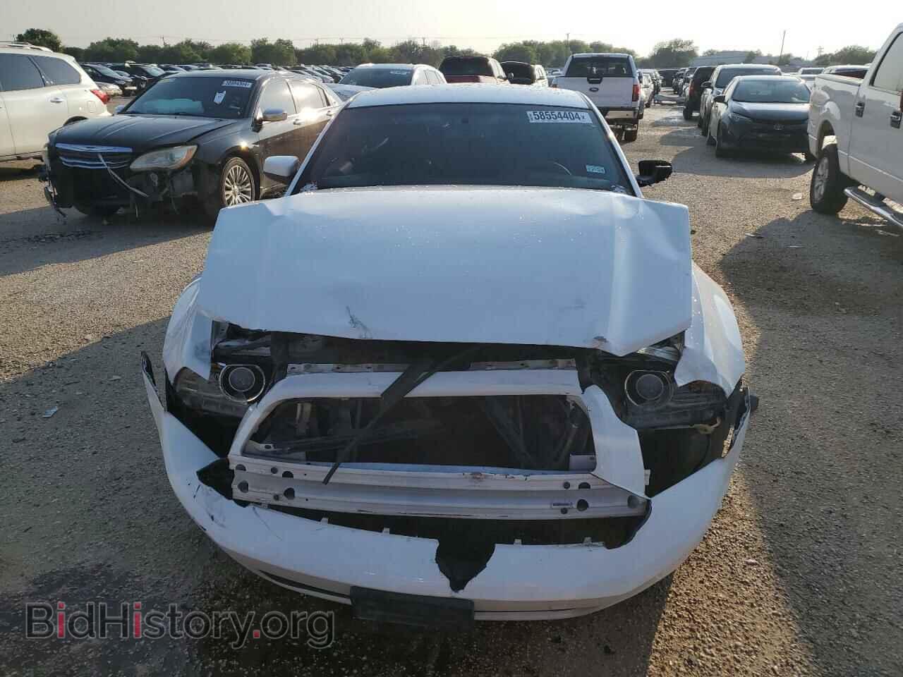 2013 FORD ALL Models - VIN: 1ZVBP8AM3D5274805 - Фото 5