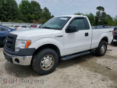 2014 Ford ALL MODELS, белый — VIN 1FTMF1EF1EKF40407, Copart
