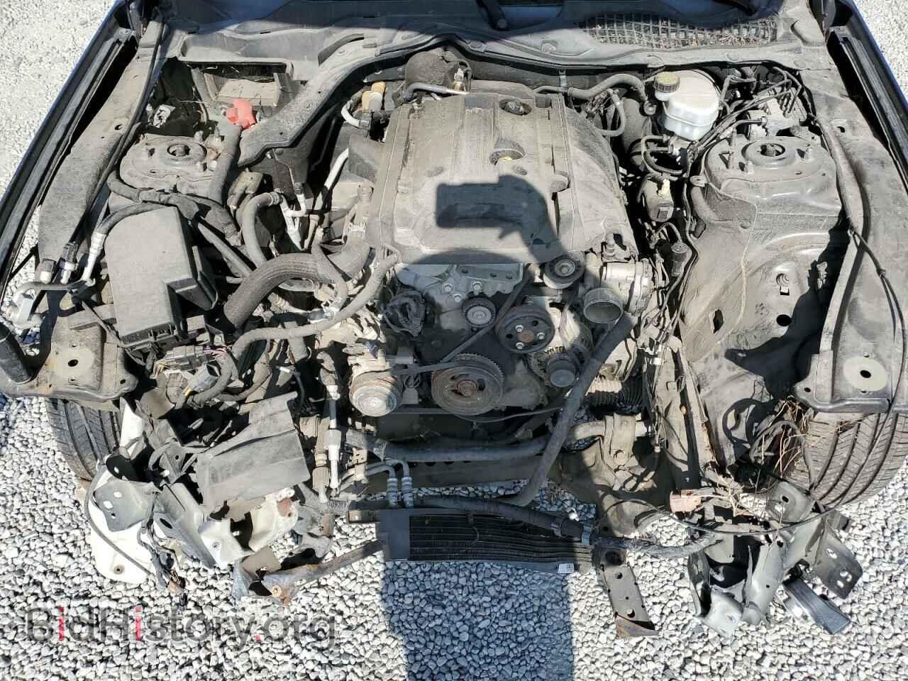 2016 FORD ALL Models - VIN: 1FA6P8TH4G5220329 - Фото 11