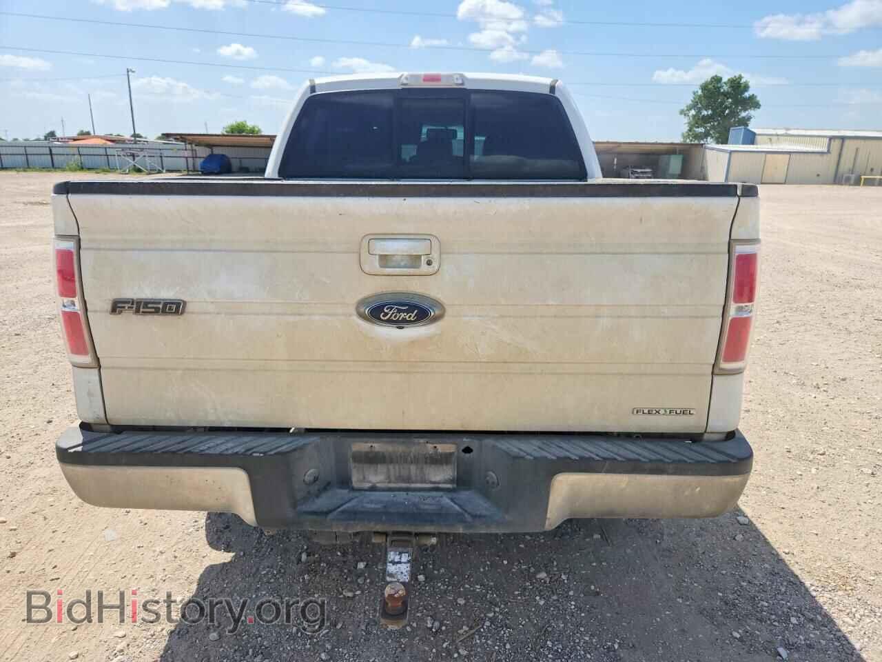 2013 FORD F150 - VIN: 1FTFW1CF9DFC04815 - Фото 6