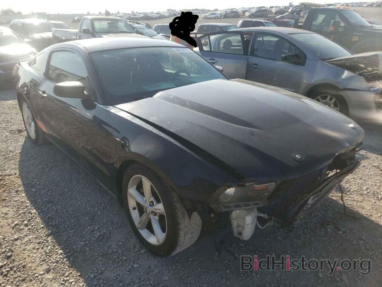 Photo 1ZVBP8CH2A5148690 - FORD MUSTANG 2010