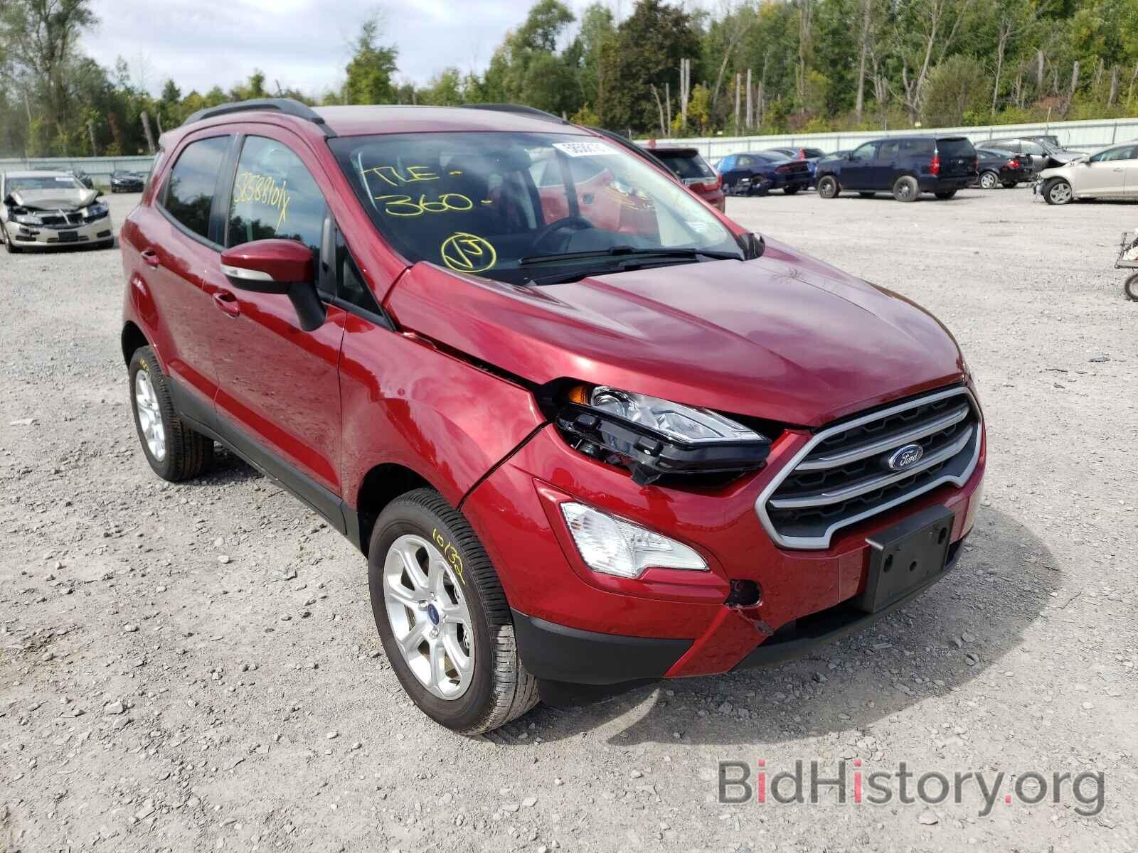 Photo MAJ6S3GL8LC384981 - FORD ALL OTHER 2020