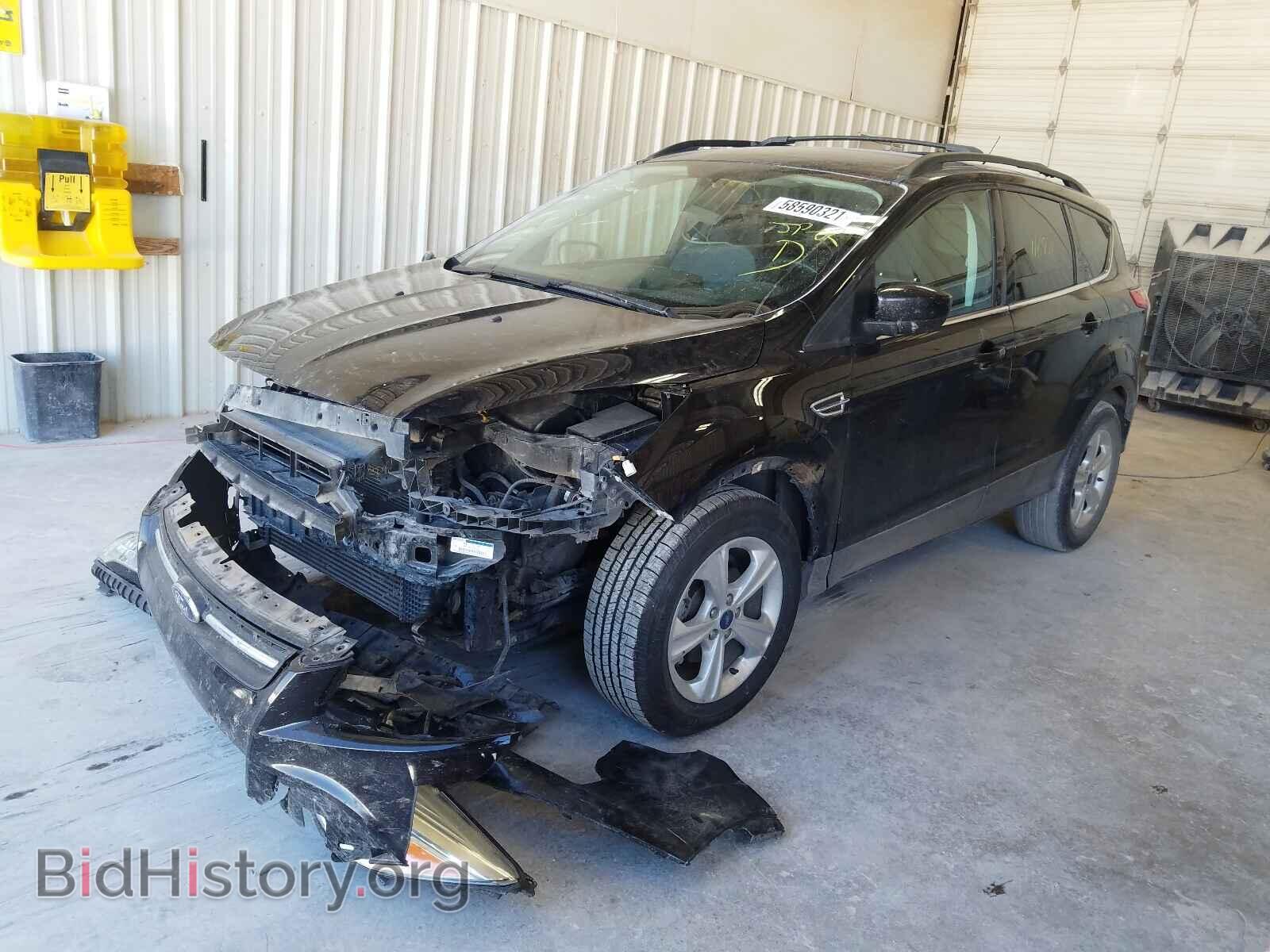 2013 FORD ESCAPE - VIN: 1FMCU0GX0DUB95225 - Фото 2