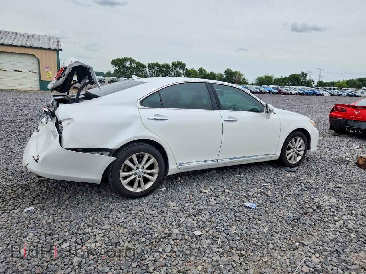 2010 LEXUS ES350 - VIN: JTHBK1EG8A2357655 - Фото 3