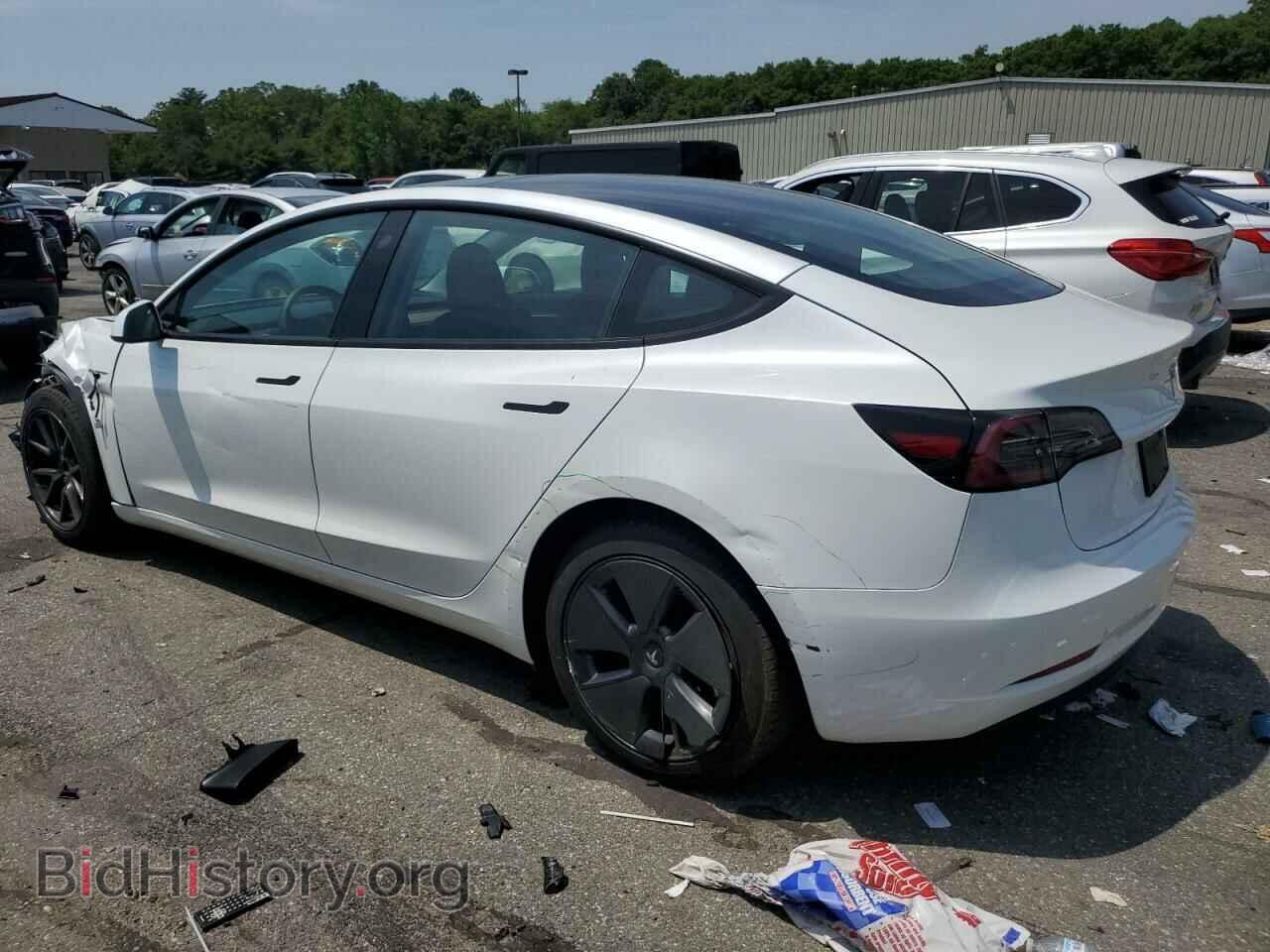 2023 TESLA MODEL 3 - VIN: 5YJ3E1EA7PF577464 - Photo 2
