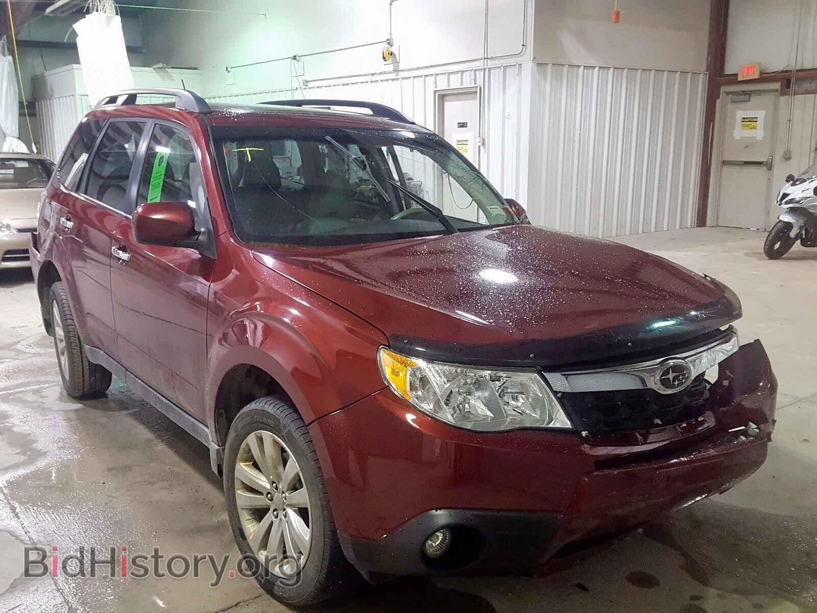 Photo JF2SHAEC4BH782447 - SUBARU FORESTER 2011