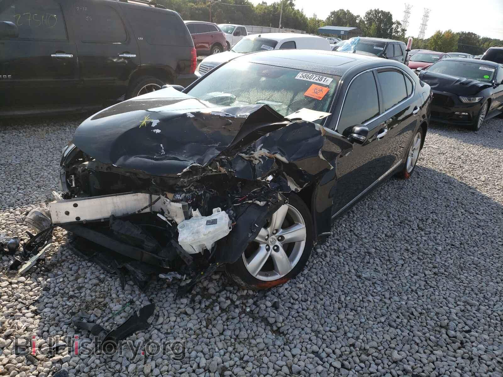 2010 LEXUS LS460 - VIN: JTHGL5EF7A5038490 - Фото 2