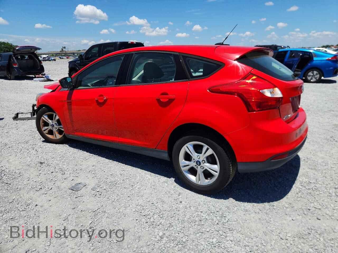 2013 FORD FOCUS - VIN: 1FADP3K21DL217855 - Фото 2