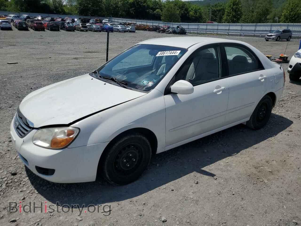 Фотография KNAFE122X85503076 - KIA SPECTRA 2008