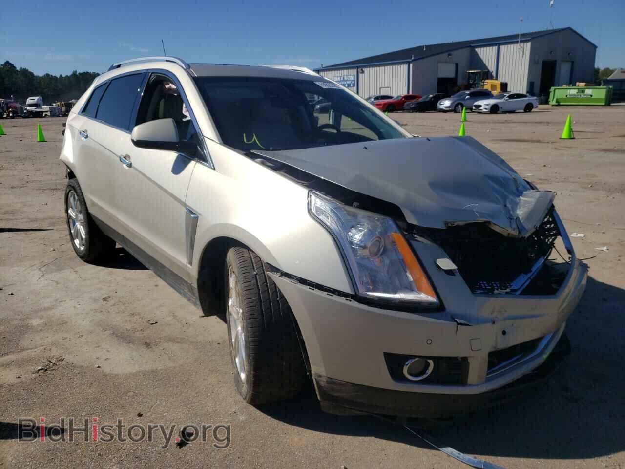Фотография 3GYFNDE37DS536443 - CADILLAC SRX 2013