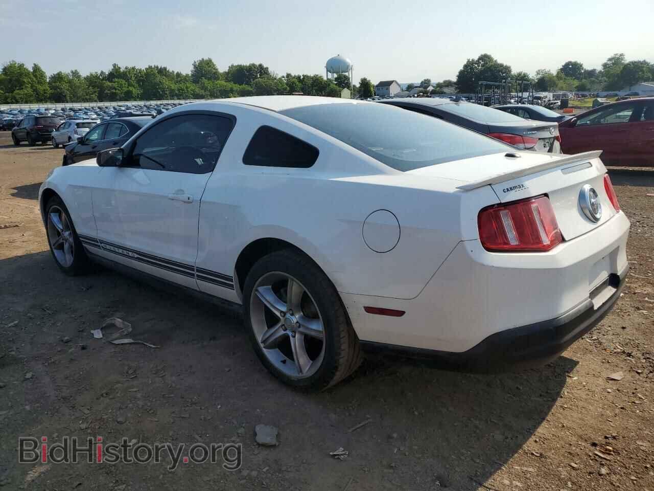 2010 FORD ALL Models - VIN: 1ZVBP8AN7A5138469 - Фото 2